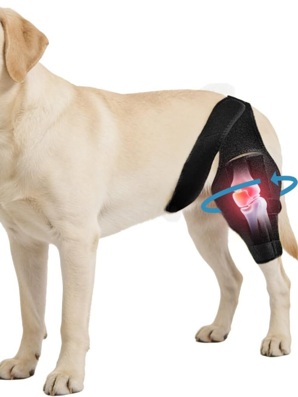 Dog Knee Brace for Torn ACL/CCL & Hind Leg Support